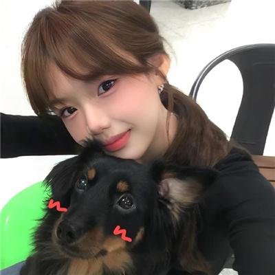 金车美人